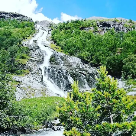 In * Stryn